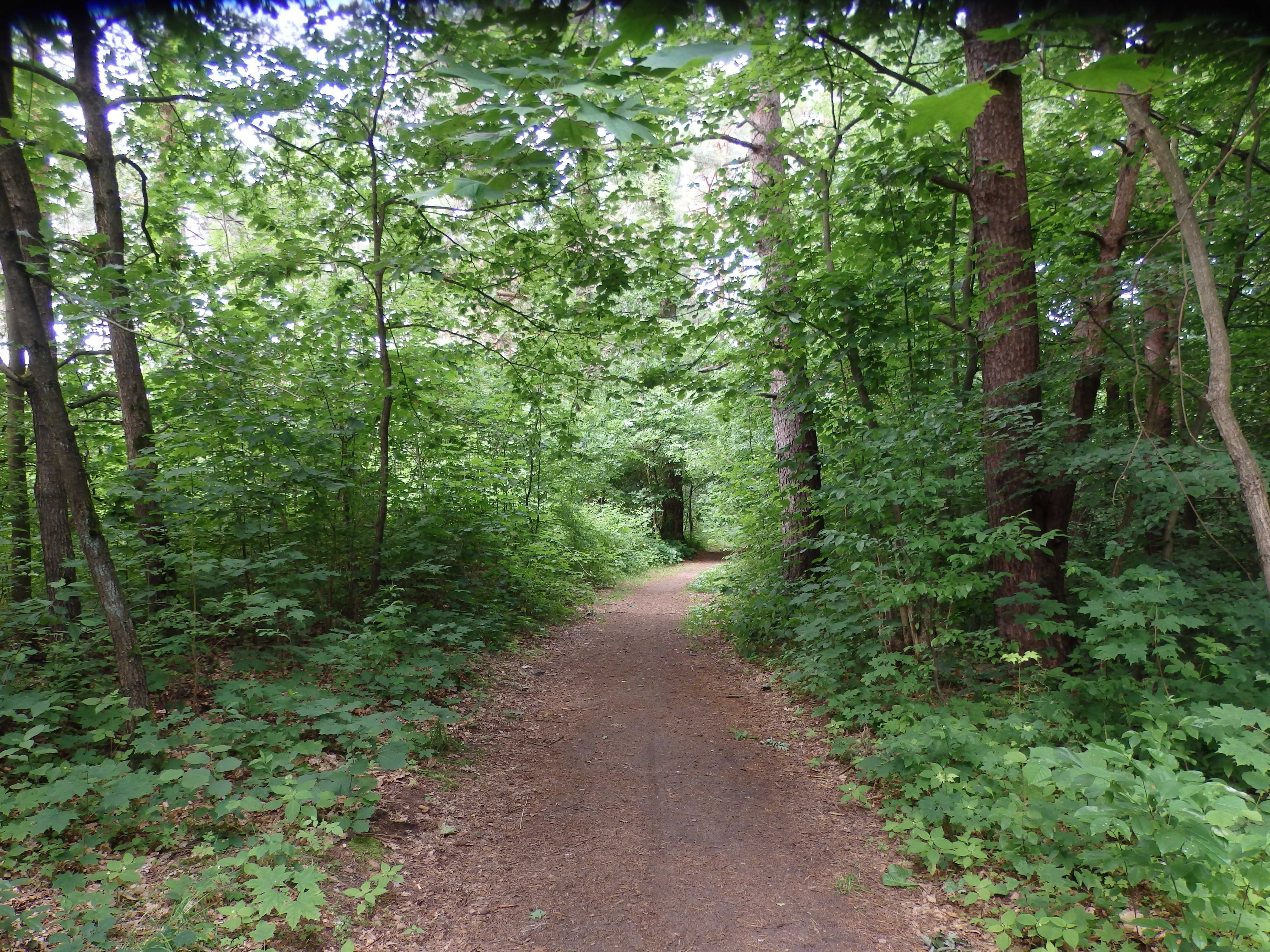 MAZURY - DOMEK nad jeziorem Marksoby, Marksewo gmina Szczytno