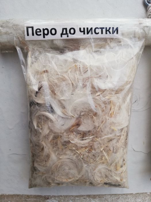 Чистка відновлення реставрація подушок пера Хмельниц область