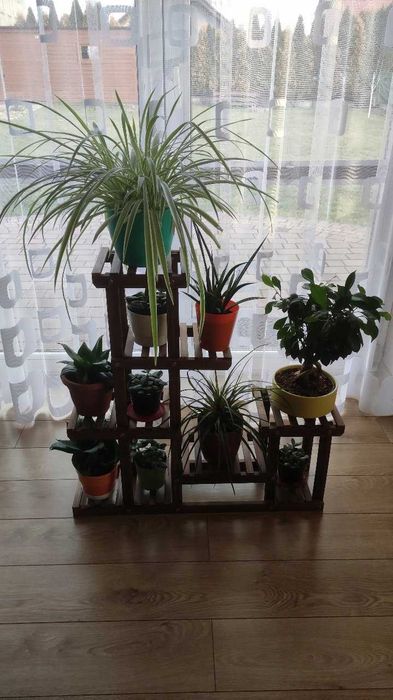 Kwietnik Drewniany Stojący Drabinka Regał Stojak Na Kwiaty Rośliny