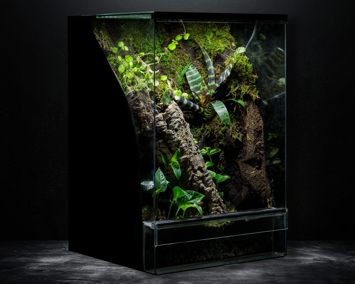 Terrarium tropikalne 40x40x60