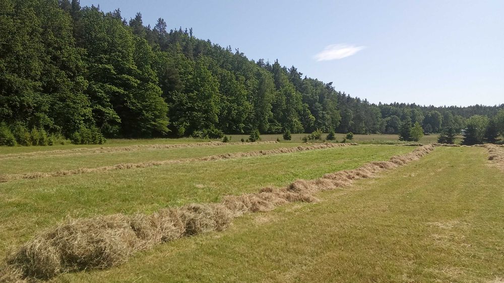 siano w kostkach 60 kostek transport