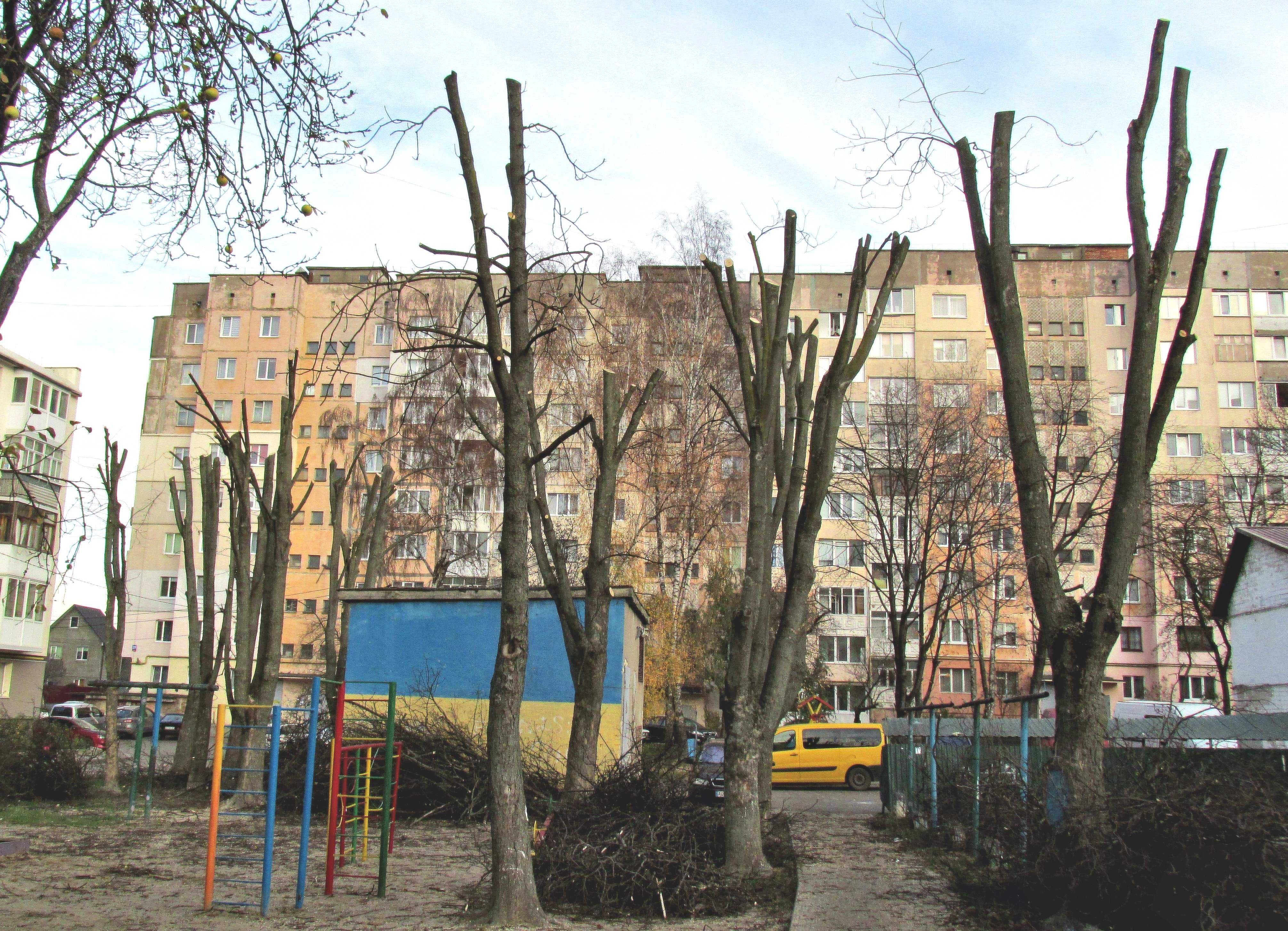 Валка та обрізка дерев (зрізання, спилювання, видалення, кронування)