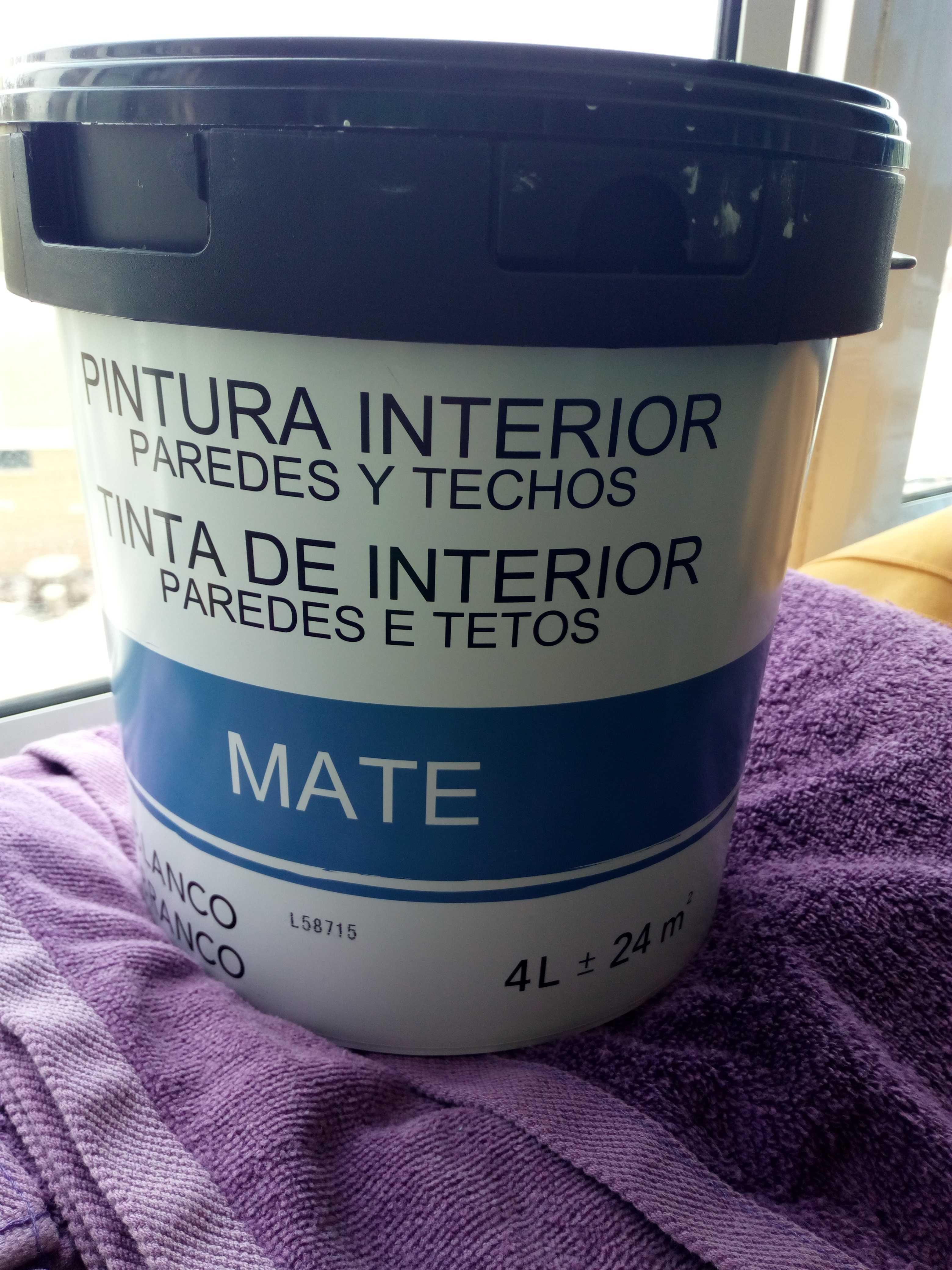 Tinta plastica para paredes