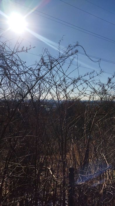 Ділянка 6 сот Клепарів,  Холодна-Виниця