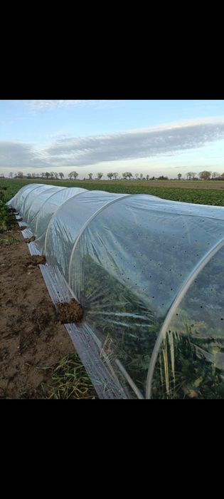 Tunel foliowy pałąki ramki budki