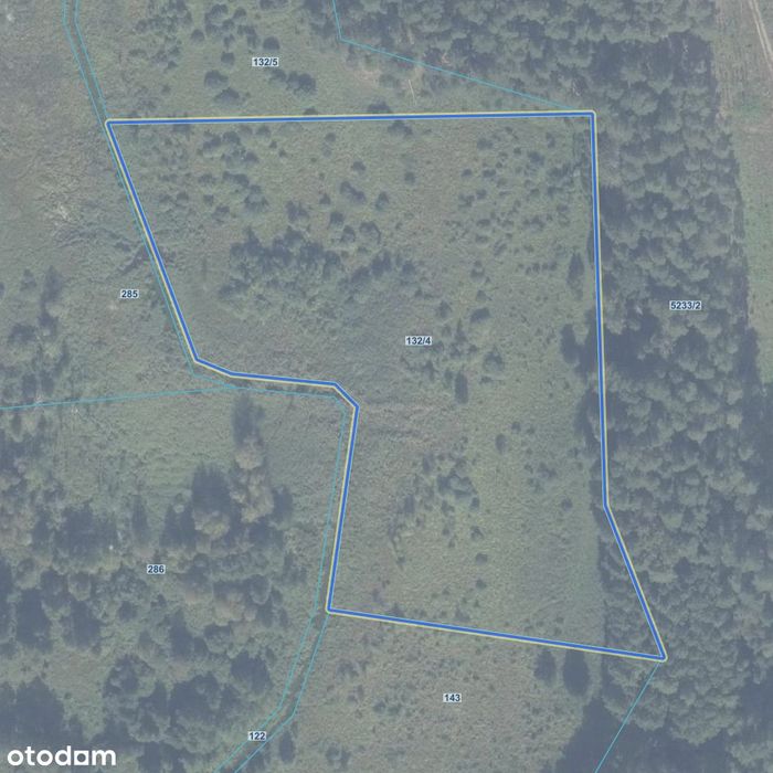 Działka 1,84 ha na Mazurach – Miętkie, gm. Dźwierzuty