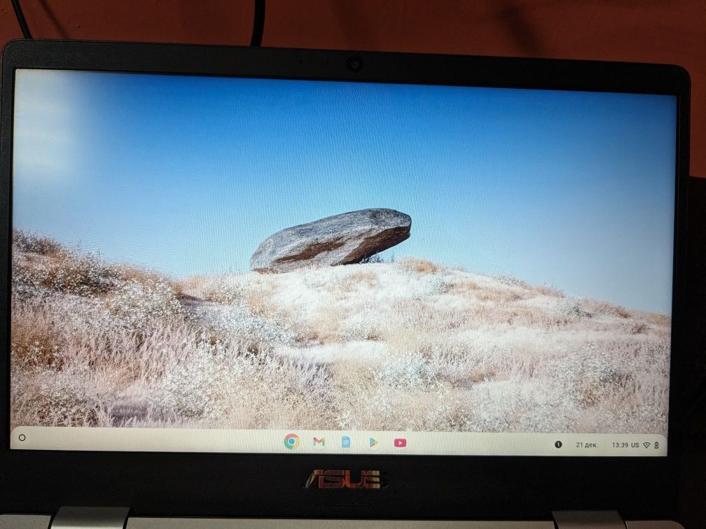 Ноутбуки Asus c423n
