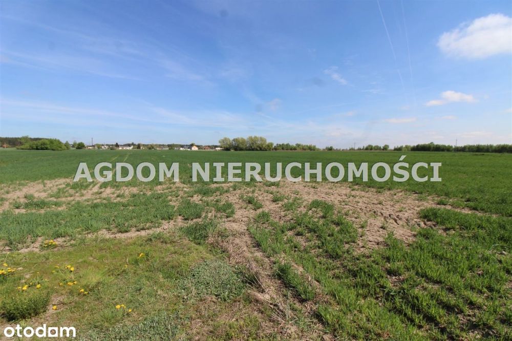 Działki budowlane z warunkami zabudowy - Bogucin