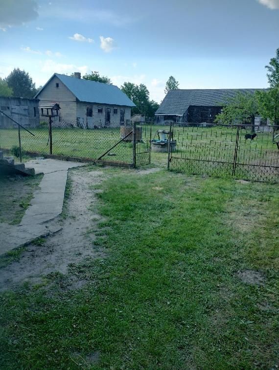 Ciche siedlisko na skraju lasu Brzeziny