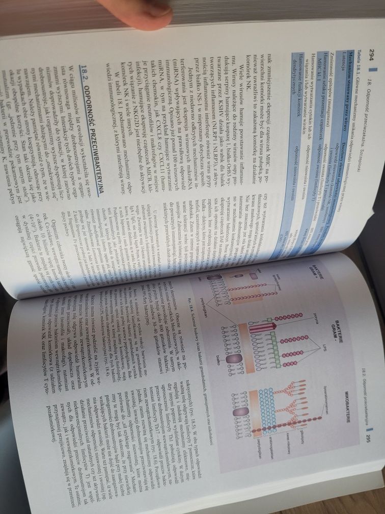 Immunologia Gołąb