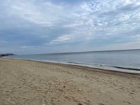 Земельна ділянка 10 соток на березі моря. ВІД ВЛАСНИКА