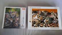Puzzle  koty 1000