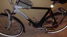 Rower Gazelle Allure Limited