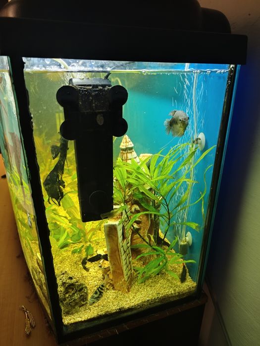 Продам аквариум на 200 лит.