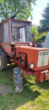 Traktor Vladimirec T25