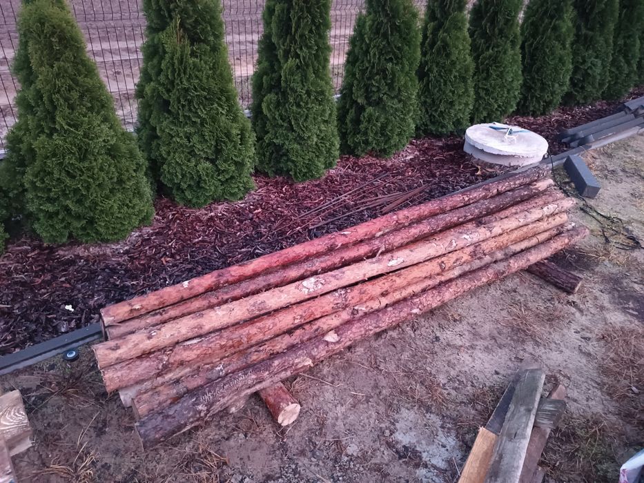 Stemple budowlane 13 szt 2,95 m