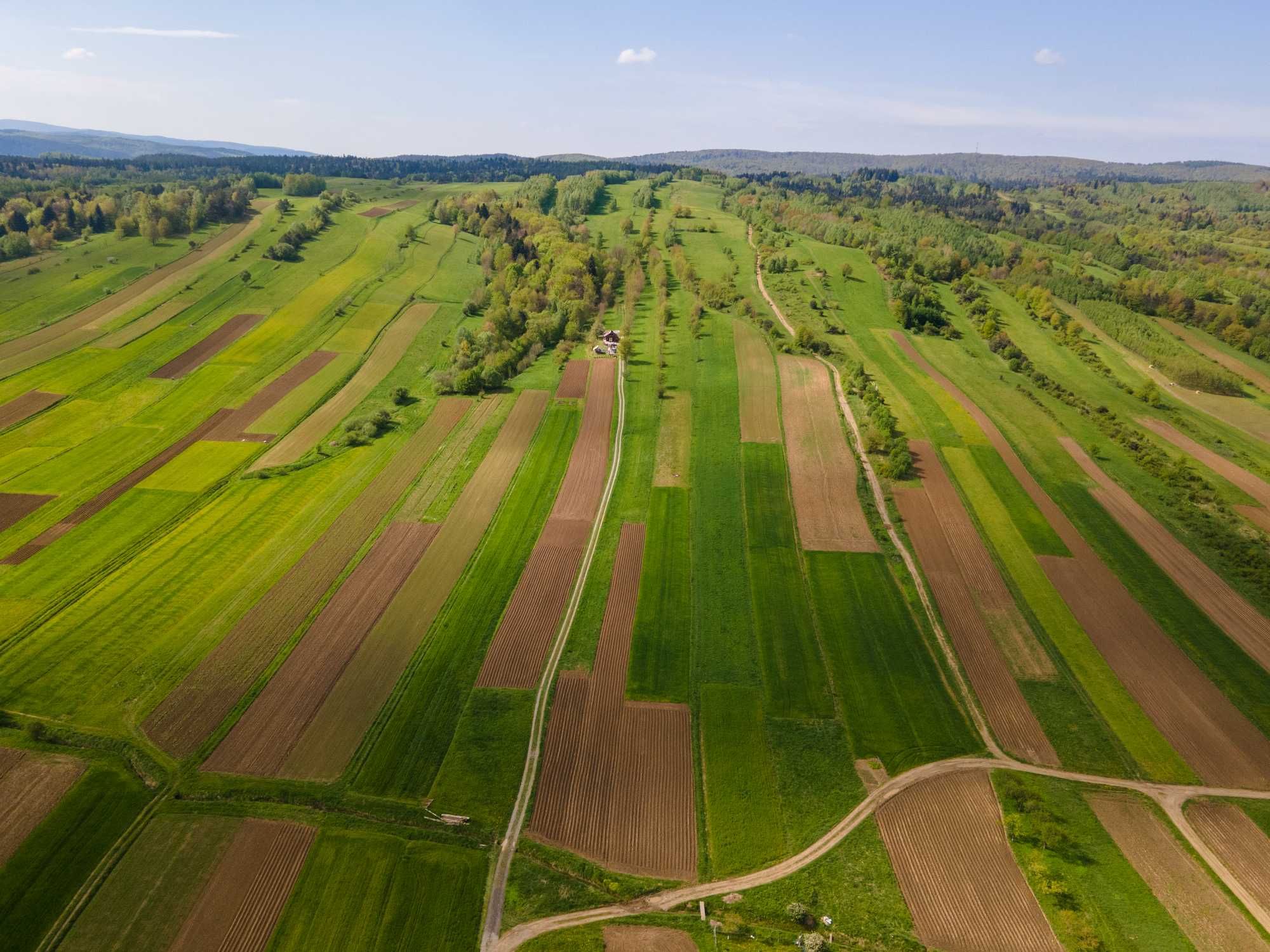 Domek u  Borsuka