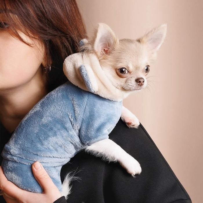 Костюм для собак  Alf Pet Fashion