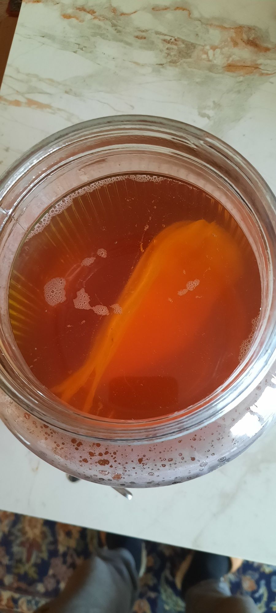 Kombucha, Scooby + Starter