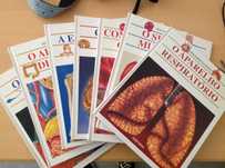 Coleçao de livros Descobrir o corpo