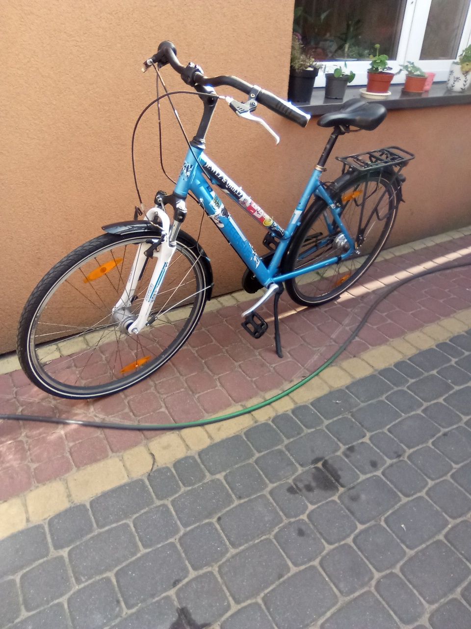 Rower Pegasus super cena