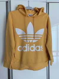 Bluza adidas xs/s 34/36