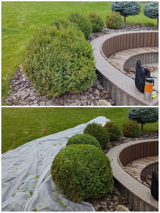 Услуги садовника