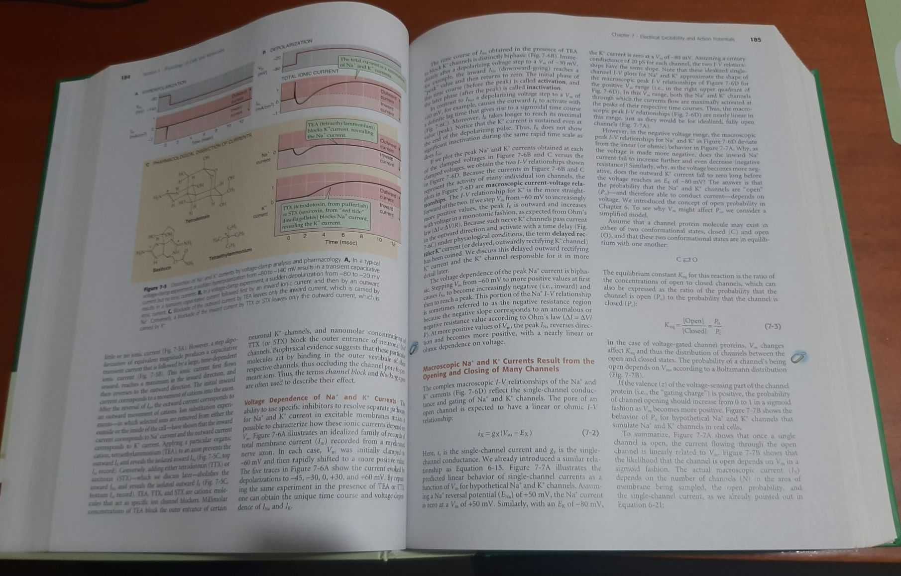 Livro Medical Physiology - 2ª edição