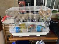 Gaiola para aves de pequeno porte tipo canario