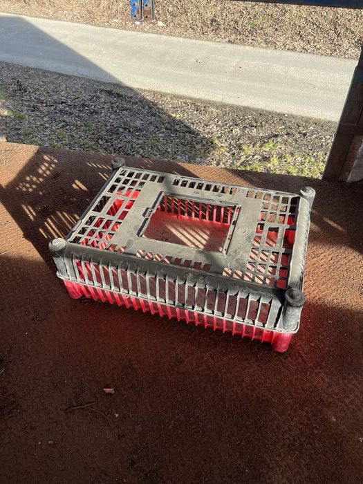 Skrzynki plastikowe do transportu kur