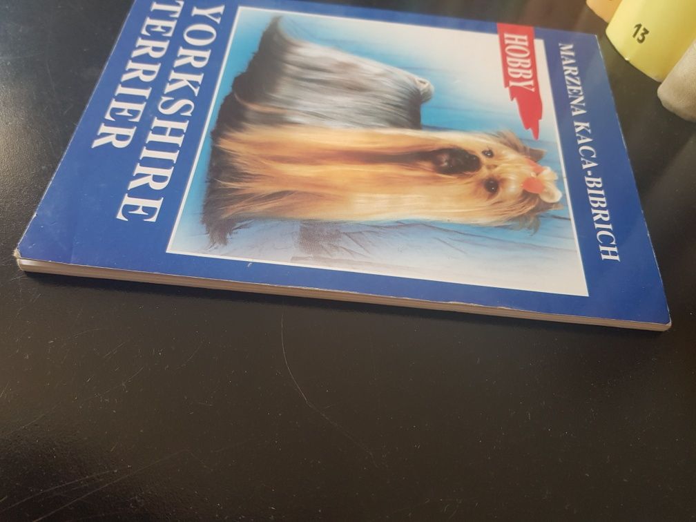 Marzena Kaca-Bibrich Yorkshire Terrier
