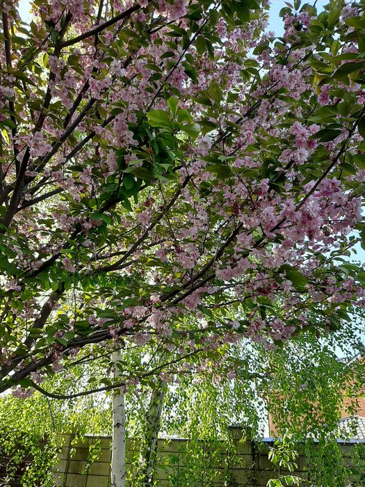 Продам участок на Гагарина, Материк