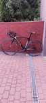 Giant TCR Advance 1