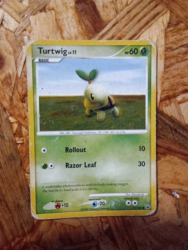 Turtwig 77 / 100