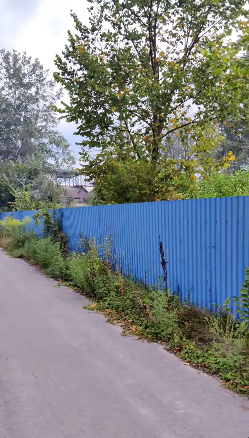 Продаж ділянки Білоцерківський р-н с.Шкарівка