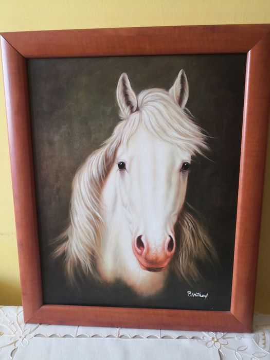 Obraz widok głowy konia