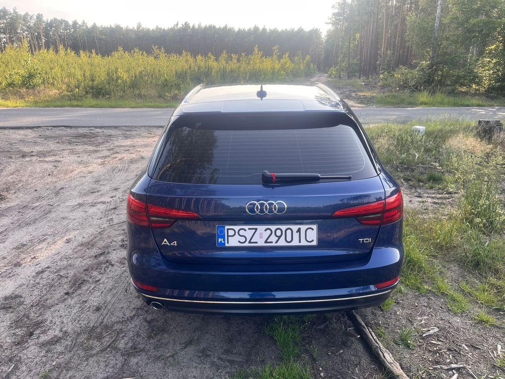 Audi A4 B9 2.0tdi 2017r Matrix