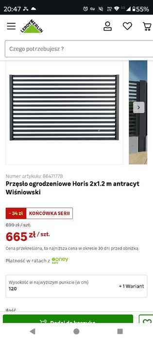Przęsło ogrodzeniowe "Horis" Wiśniowsk 2m x 1.2m