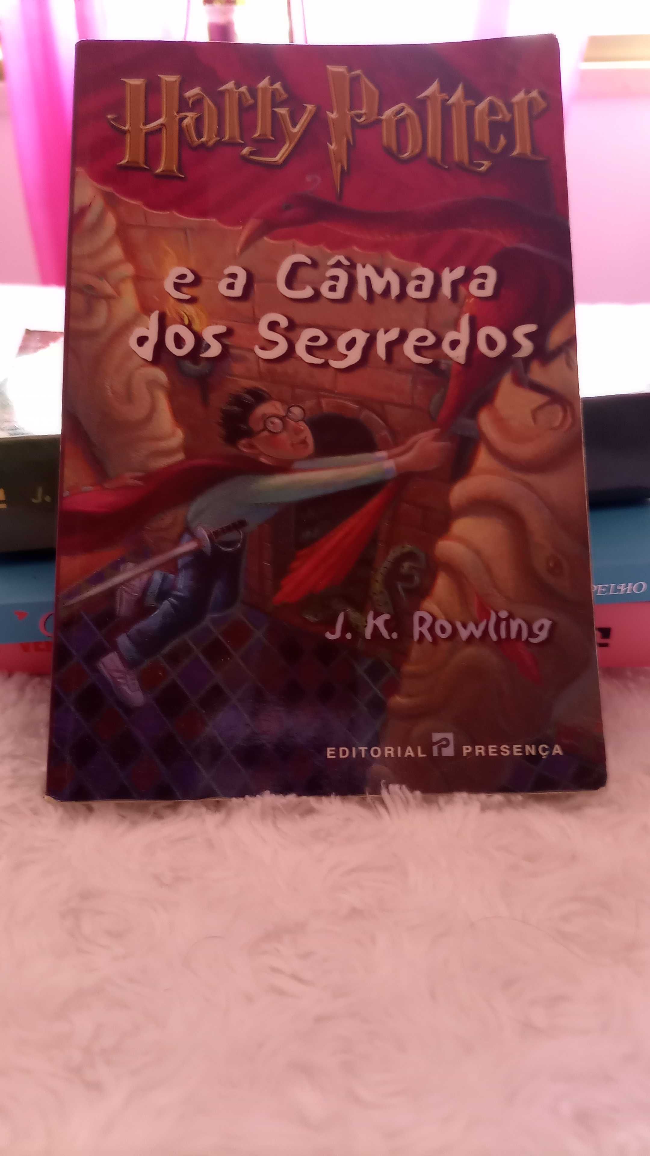 Livros (2) Harry Potter