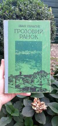 Іван Пільгук "Грозовий ранок"