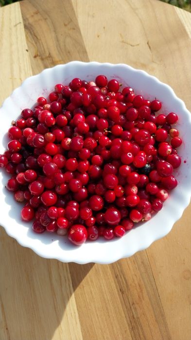 Брусниця перетерта з цукром (не варена)