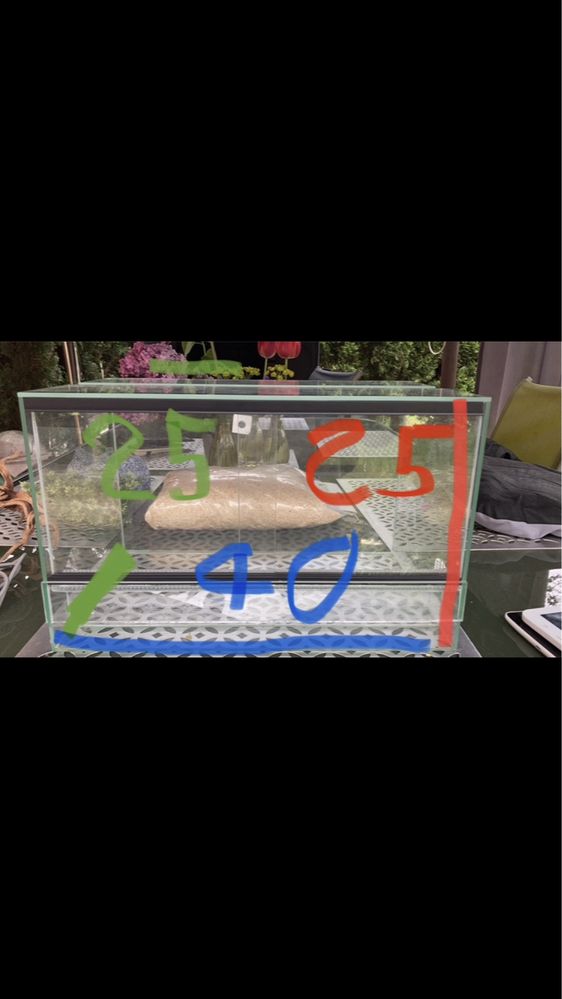 Terarium GRATIS ozdoby