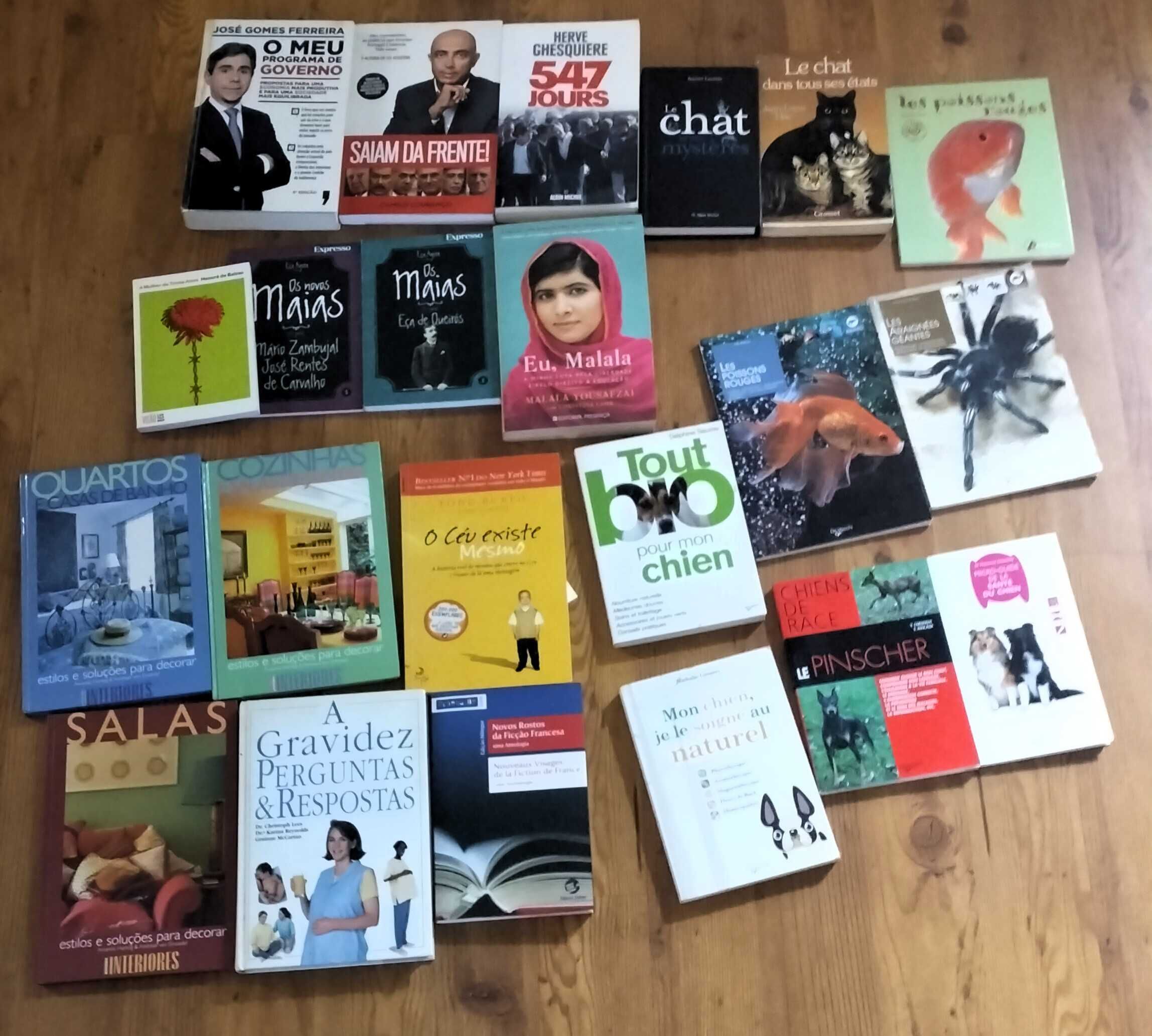 22 livros usados ou novos, portugueses ou franceses.