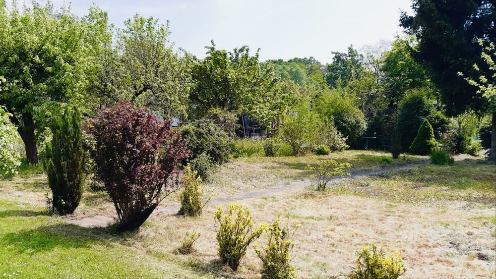 Ogrodek działkowy