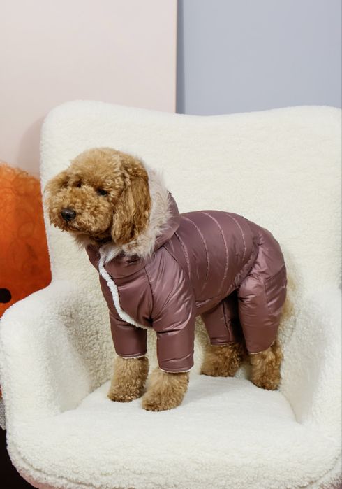 Комбінезон для собак