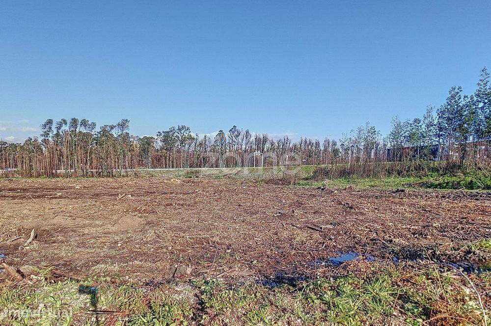 Terreno Industrial Com 20.000 M² Em Aveiro