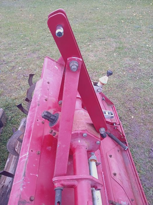 Glebogryzarka Japońska Szer 1.55 cm.