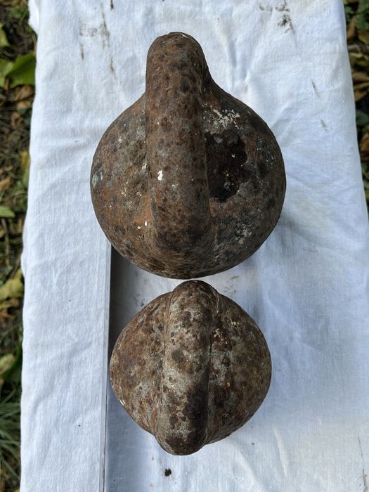 Вагові гирі 4 та 8 кг