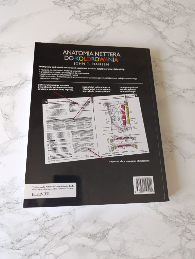 Anatomia Nettera Do Kolorowania