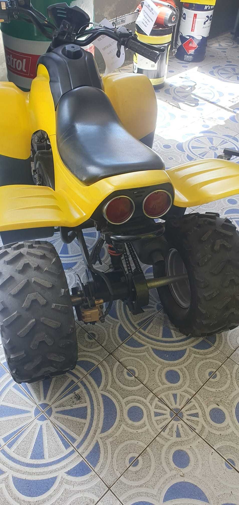 Mini Moto 4 Dinli T-Rex 110cc